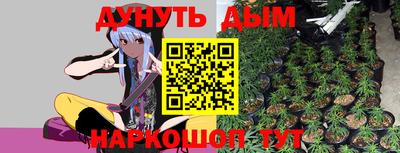 наркотики Кингисепп