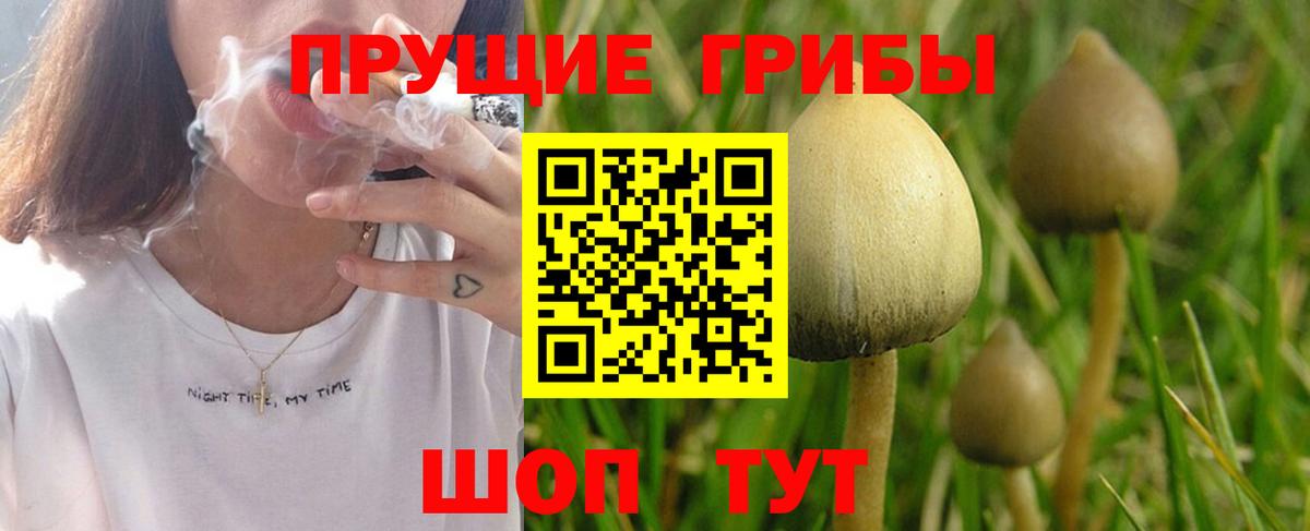 Псилоцибиновые грибы ЛСД Донской