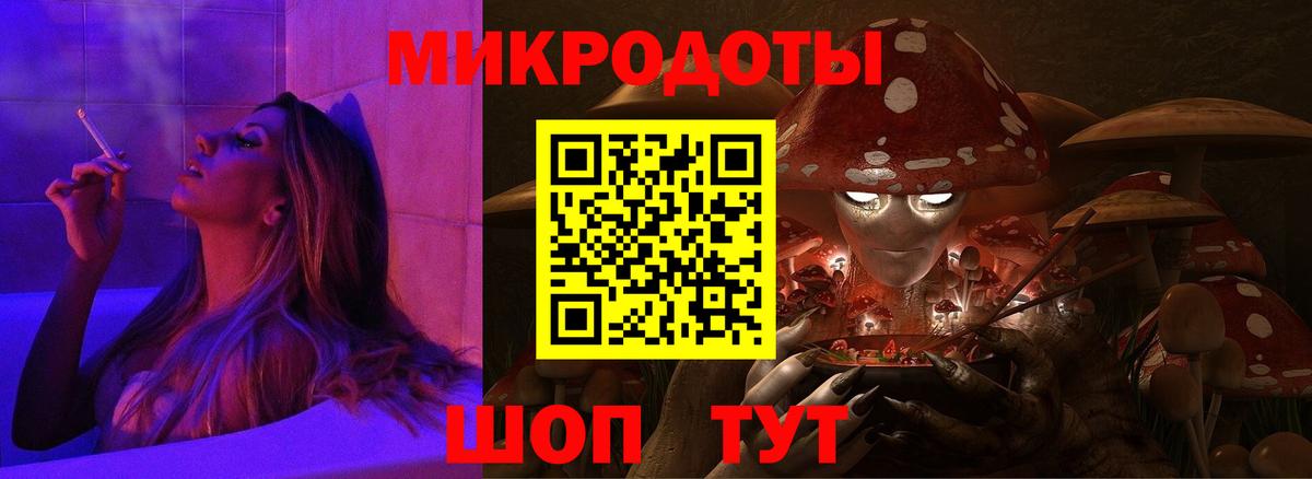 Донской  Псилоцибиновые грибы прущие грибы  Вход с VPN 